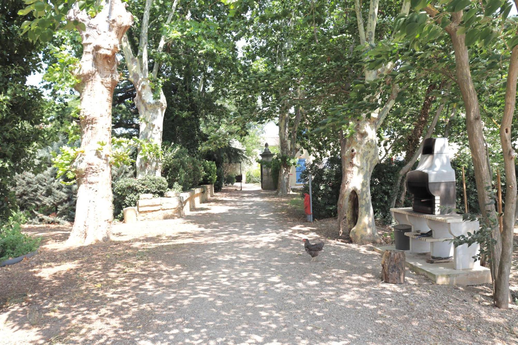 Gites Avec Piscine Et Jacuzzi Au Mas De Cadoule Saint-Just  Esterno foto